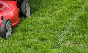 Lawn Mowing Finsbury Park