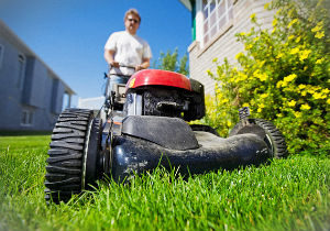 grass-cutting-finsbury-park