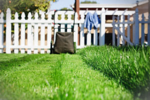 grass-cutting-services-finsbury-park